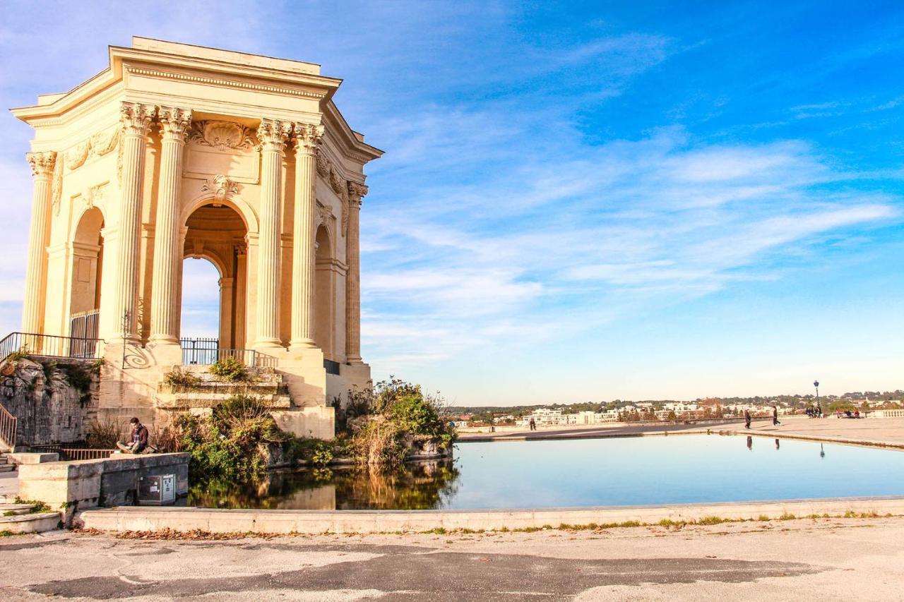 Le Havre De Paix Montpellierain - Terrasse Et Parking Prive Daire Dış mekan fotoğraf