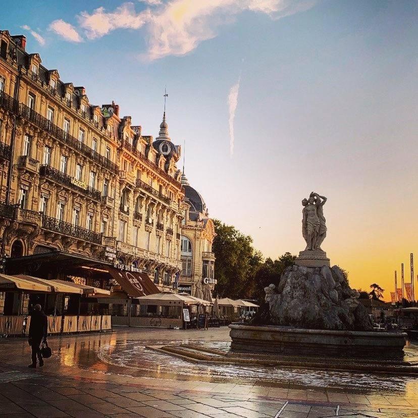 Le Havre De Paix Montpellierain - Terrasse Et Parking Prive Daire Dış mekan fotoğraf