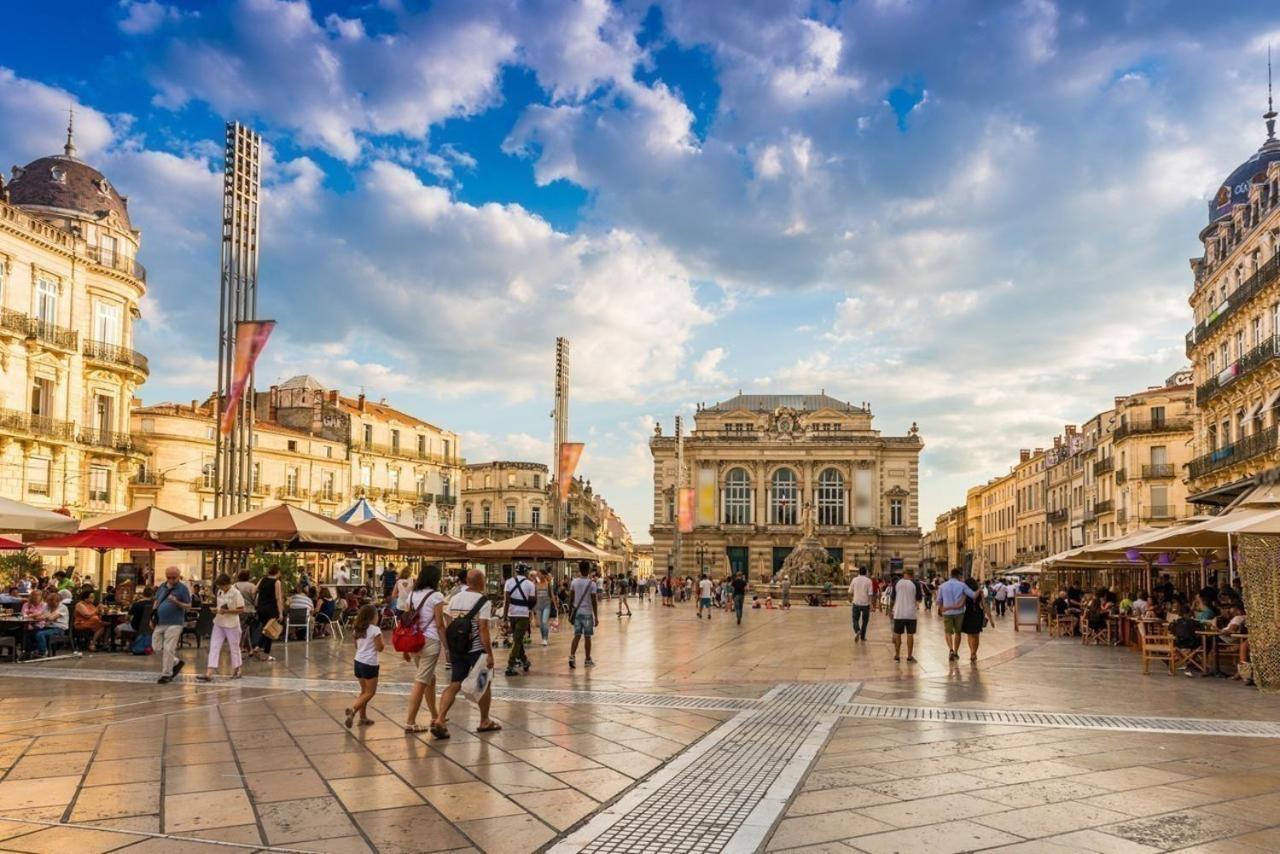 Le Havre De Paix Montpellierain - Terrasse Et Parking Prive Daire Dış mekan fotoğraf